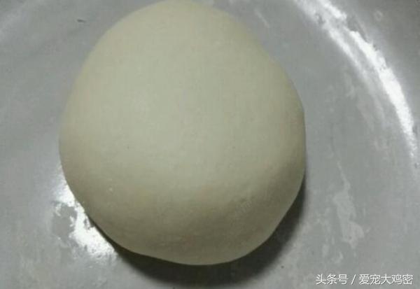 狗狗误食后浑身发抖,狗狗误食骨头拉肚怎么办