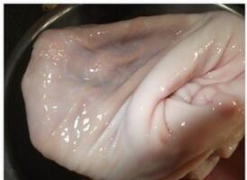 胃痛每日食谱,健康一线胃痛