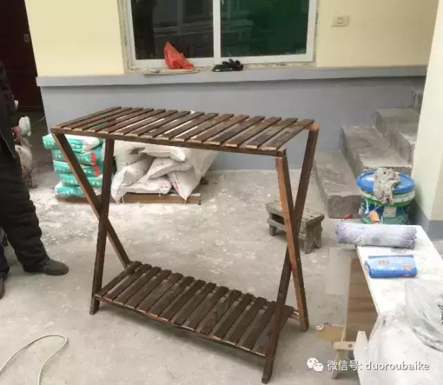 多肉为什么比较坑,多肉基础知识详解