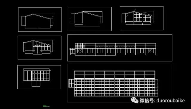 多肉为什么比较坑,多肉基础知识详解