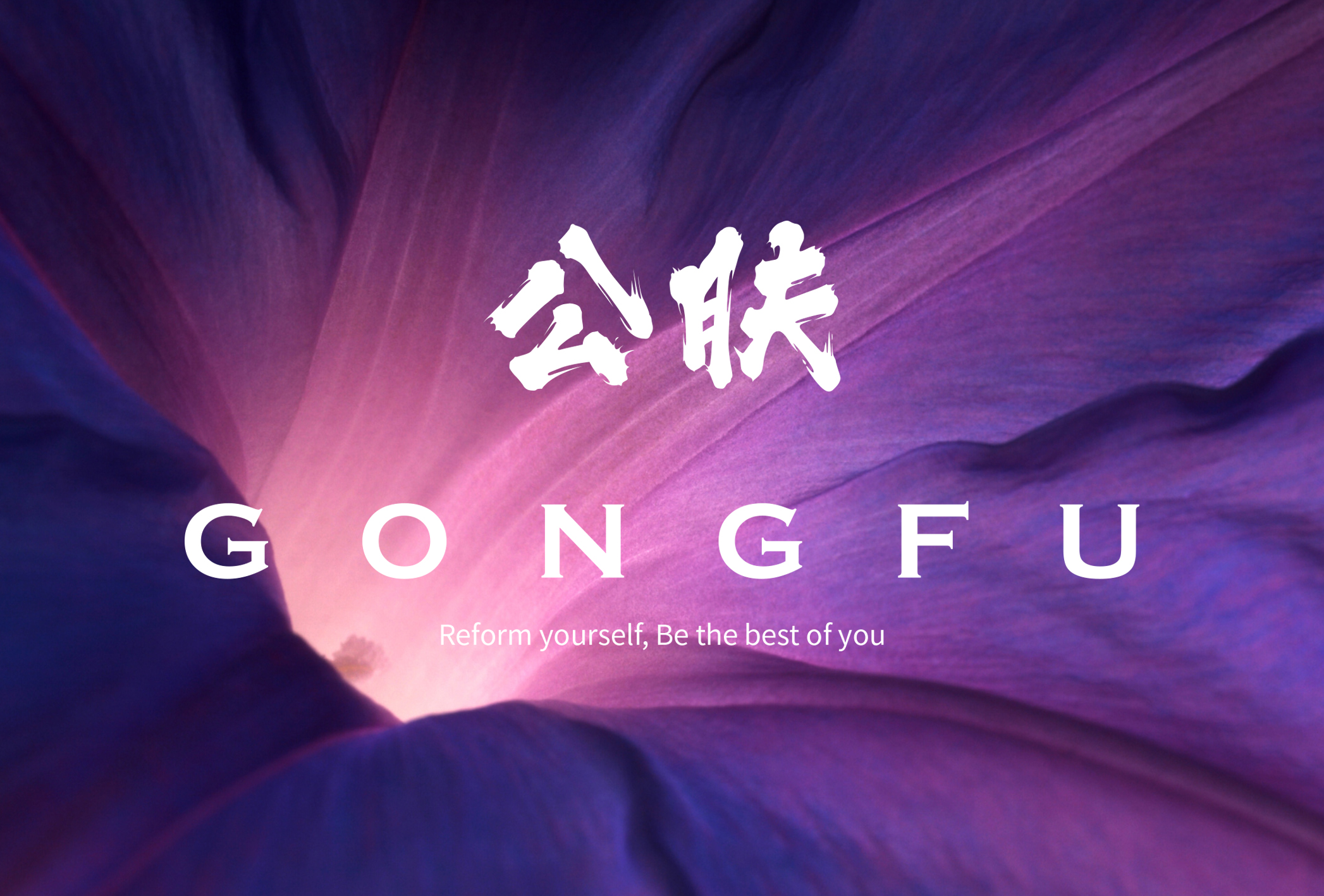 周星驰为什么感谢刘烨胡军,感谢周星驰的人有多少人