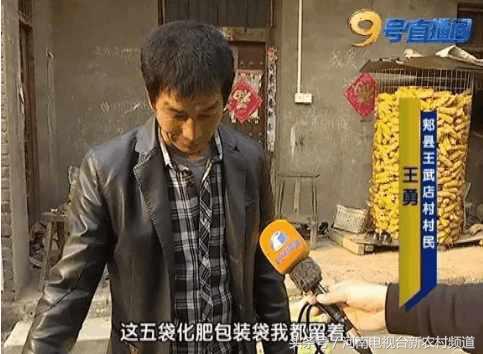 小麦扬花后麦叶尖发黄是怎么回事,小麦假化肥表现