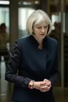 英国梅姨2019,英国梅姨最新消息