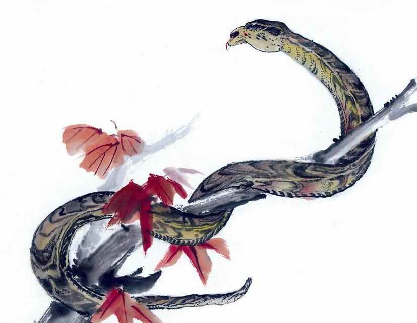 七七年属蛇2022的运程,属蛇人2017年全年运势详解