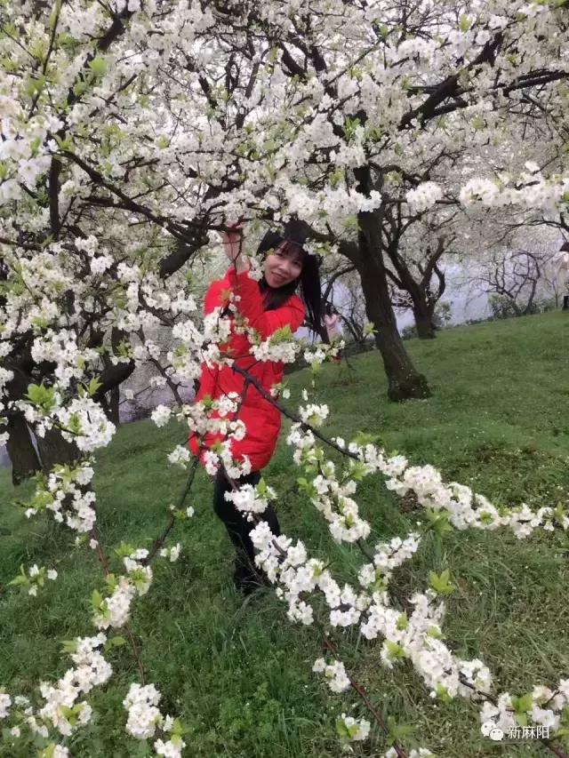 春天第一花麻阳,故乡最先盛开的是什么花