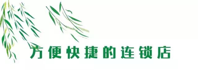 吃各种不同口味的青团合集,各种口味青团测评