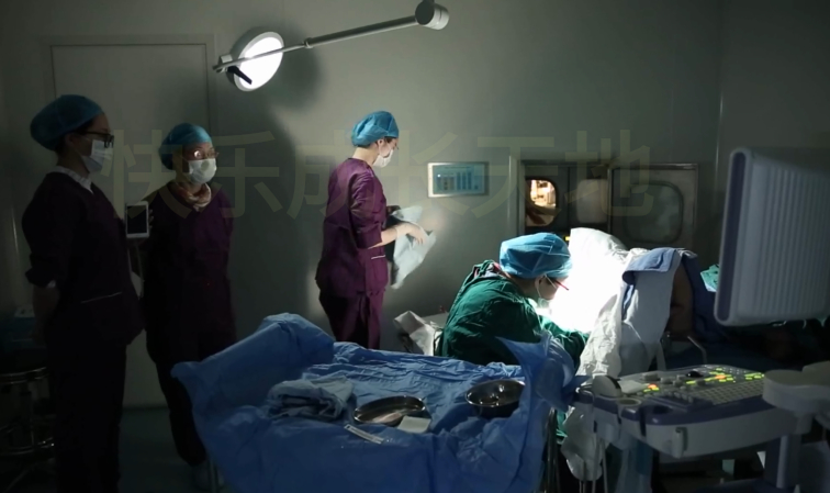 单身女性冻卵事件,单身女性冻卵违法吗