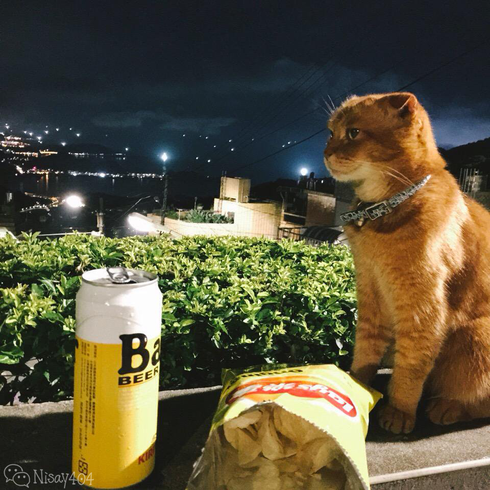 台湾人文景点自由行攻略,台湾旅游攻略最美的风景