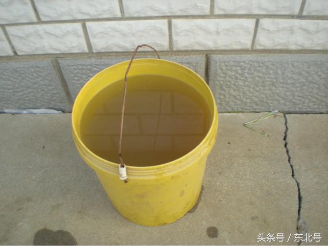 正宗东北大酱教程,南方人尝试下东北大酱