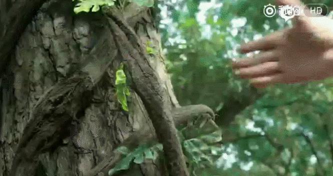 继《人民的名义》之后，《思美人》强势来袭，最后结局绝对想不到