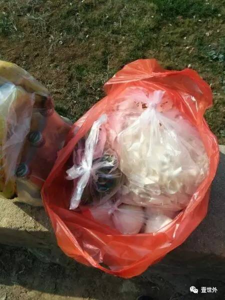 揭秘终南山隐士纪录片,探访终南山隐居的真实的生活