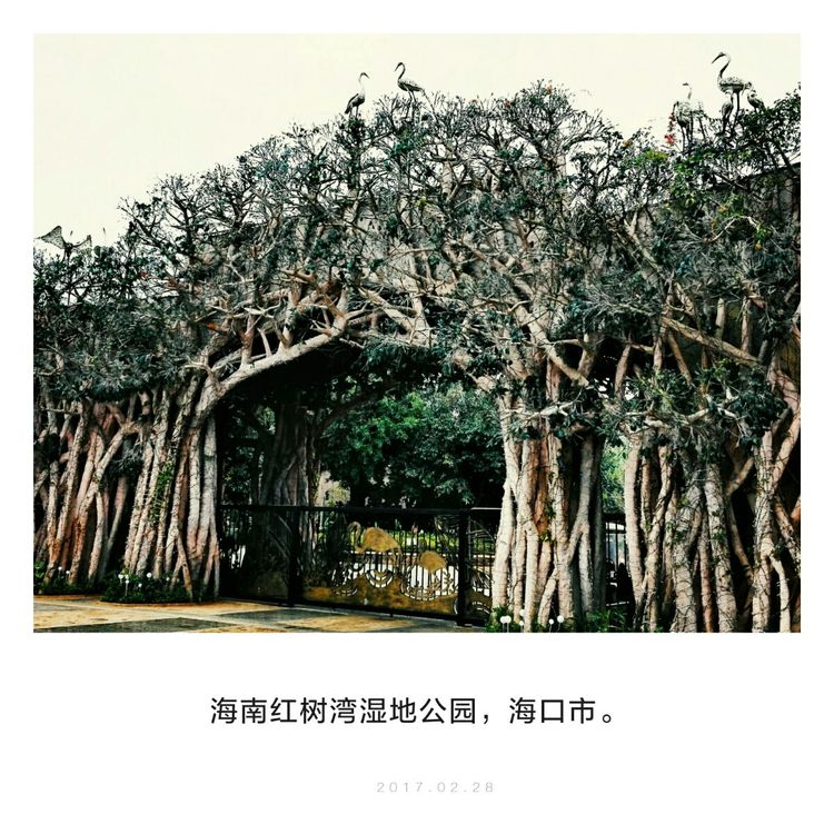 海南之旅感悟,海南行的点滴回忆