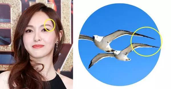 刘亦菲海鸥眉怎么修,刘亦菲的三个不同妆容