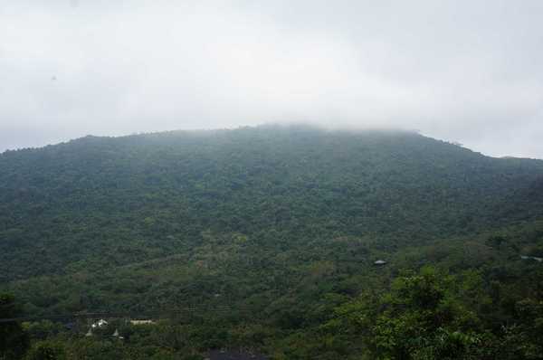 呀诺达热带雨林公园票价,呀诺达热带雨林景区官网