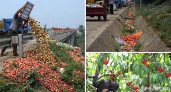 农村三农创业点子,2017推荐农村创业致富的3个金点子