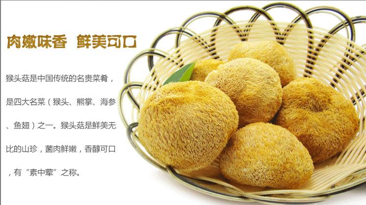 为什么说猴头菇能抗癌,猴头菇对治疗癌症的疗效