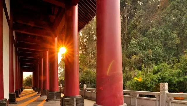 成都附近一小时氧吧,成都周边森林免费氧吧推荐