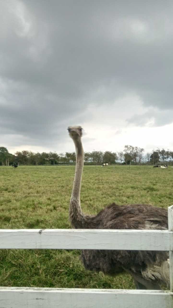 苏花公路最佳路线,苏花公路风景图