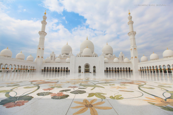 迪拜的旅行vlog,迪拜之旅vlog模板