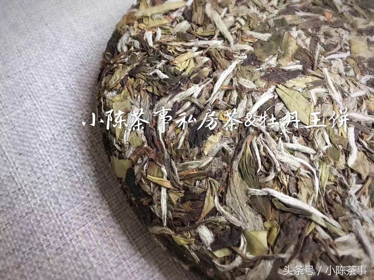 白茶潮湿还能喝吗,春天喝一壶新茶