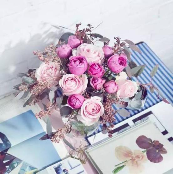 高圆圆侵权案,高圆圆投资的电商品牌是