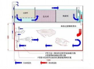 水产养殖户解决养鱼难题,观赏鱼养殖入门