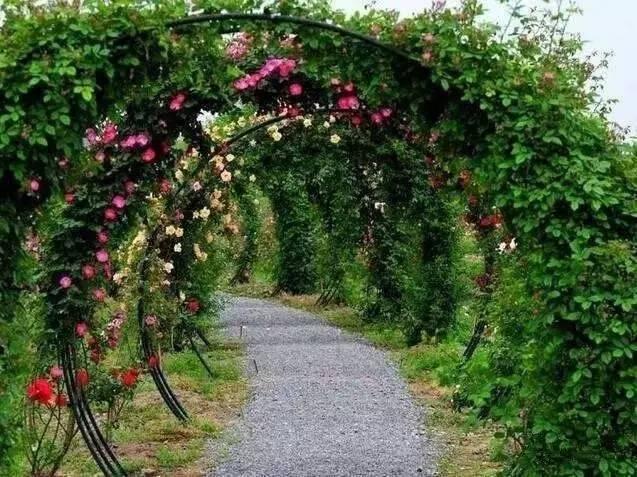 唐山国家级旅游度假区,唐山最好的旅游小镇