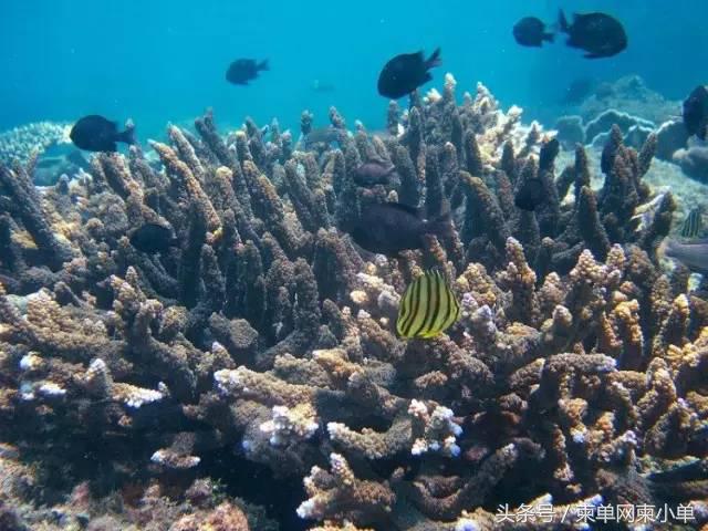 柬埔寨生活不易,一个人在柬埔寨该怎么生活