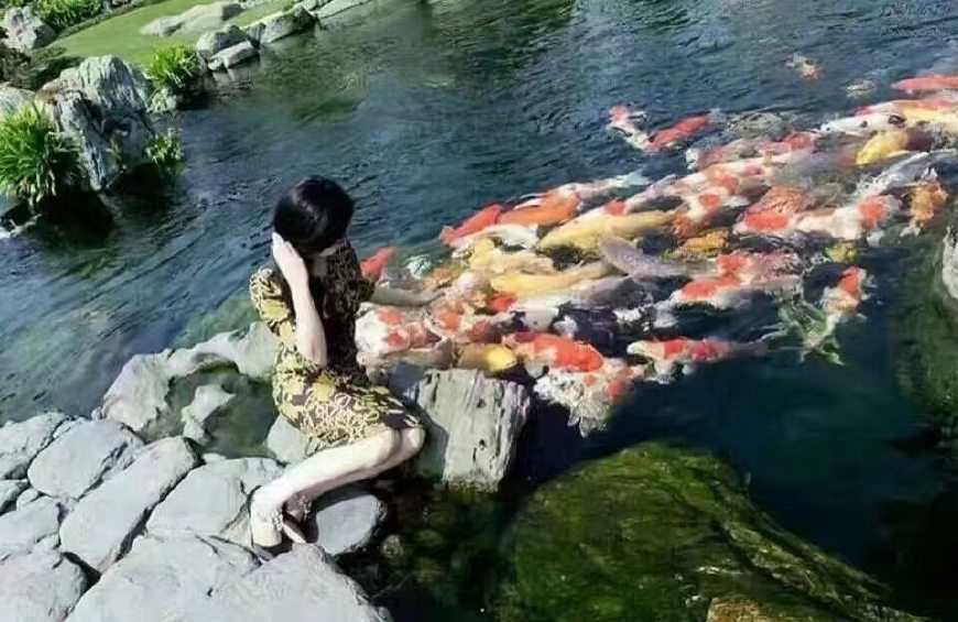 鱼池假山怎么做,假山鱼池怎么做视频