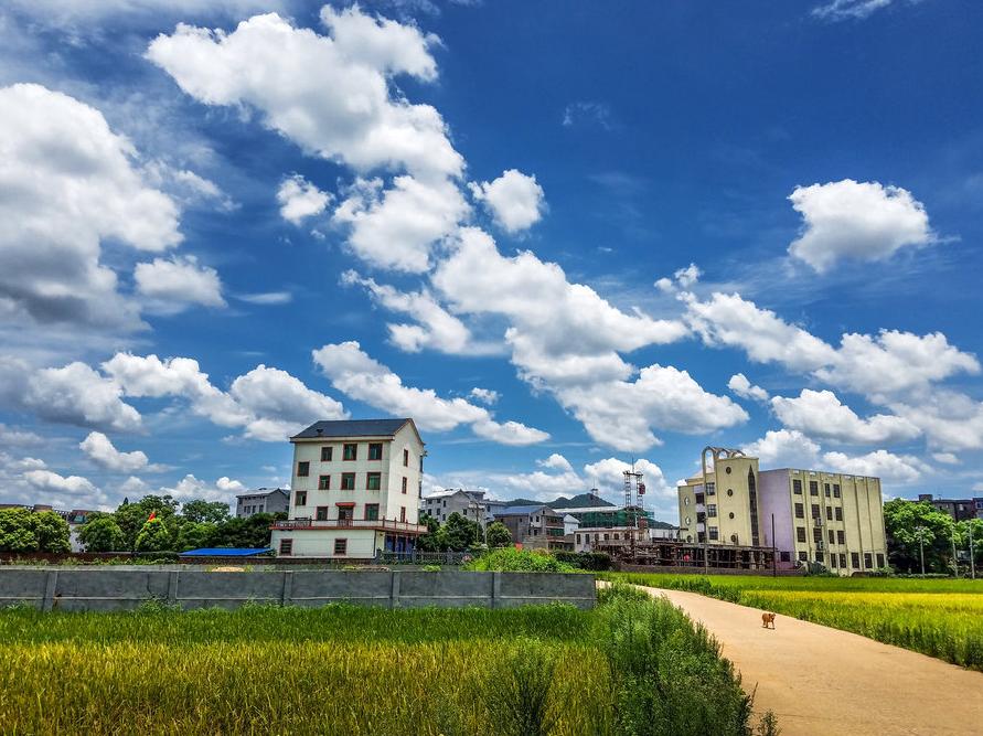 南国江山第一县,*光春**潋滟绿水长:江西峡江