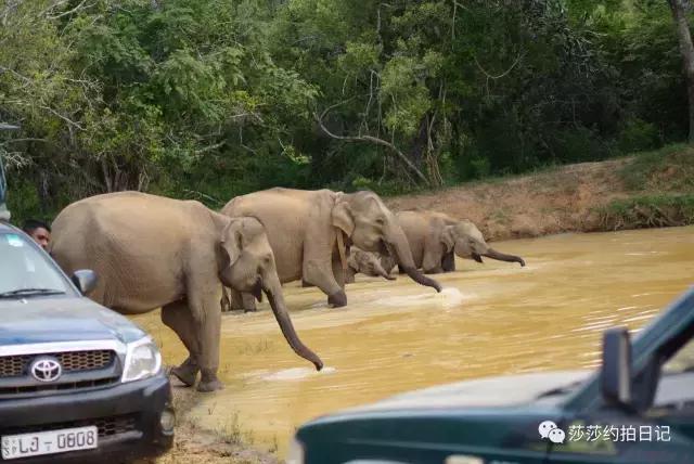 斯里兰卡旅游线路图高清,斯里兰卡自由行旅游攻略