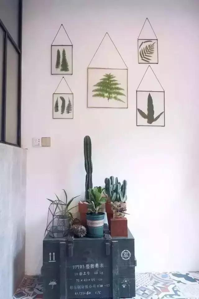 不用逃离北上广，他花10万任性改造租来的破院照样活得率性精彩