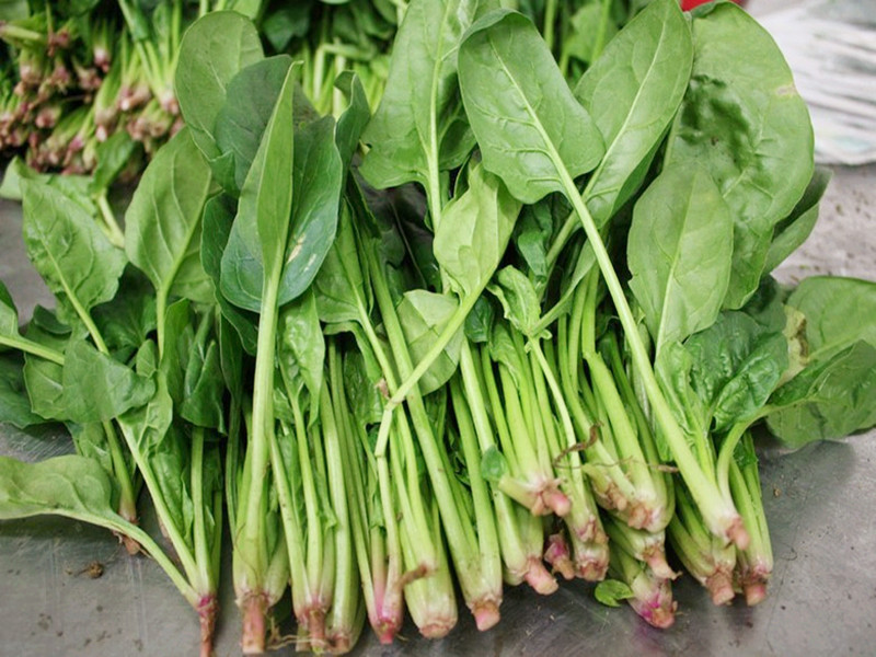 孕妇不可以吃的蔬菜,孕妇禁吃十大蔬菜排名