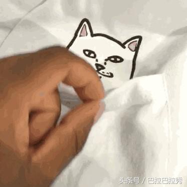 潮牌王者,潮牌王者荣耀