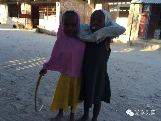 一生必去一次的非洲坦桑尼亚｜回归狂野