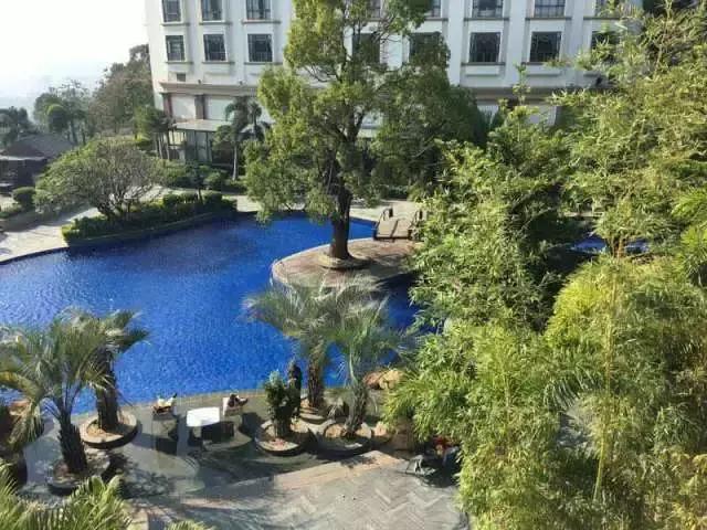 南粤动态｜周末就是复活节了，快到樟木头三正半山酒店来狂欢吧！