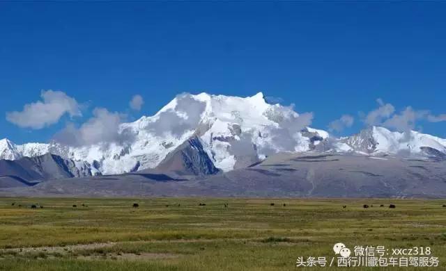 永不停歇的攀登——云上的希夏邦马