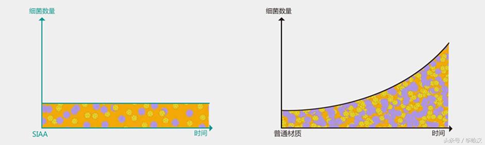 你家马桶干净吗,你家的马桶真的干净吗