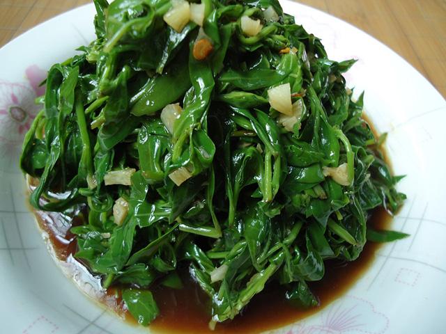 干枸杞芽菜多少钱一斤,枸杞芽菜前景如何