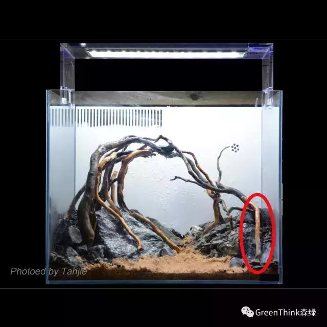 水草缸造景大师视频大全,水草造景大师