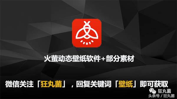 王者荣耀壁纸动态主题下载,王者荣耀动态壁纸用的软件是什么