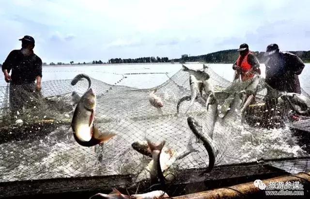 辽源赏花的地方,辽源最佳观花位置