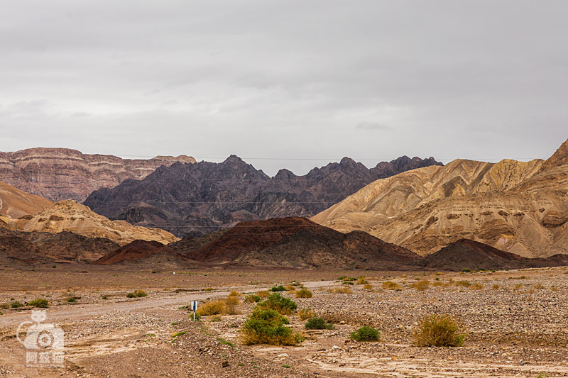 以色列,闯入“禁区”的观鸟人