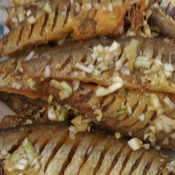 最好吃的100种鱼图片,十大最好吃的鱼视频