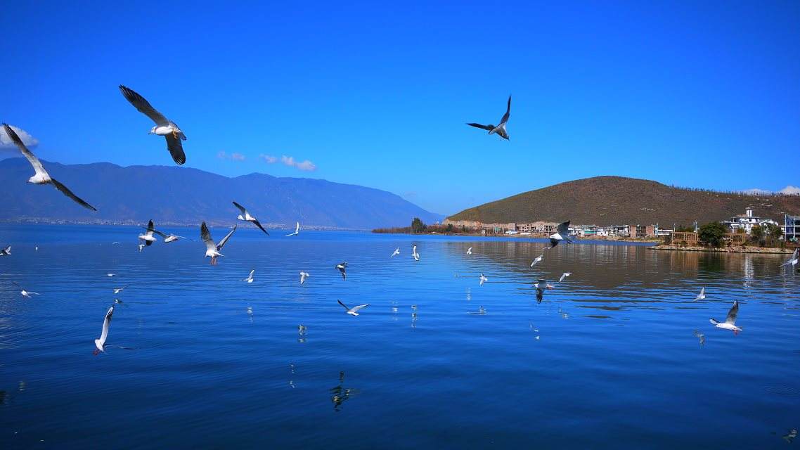 从合肥到昆明的高铁最快最佳路线,合肥至昆明高铁
