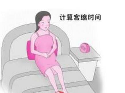 假小子ella台湾,假小子怀孕