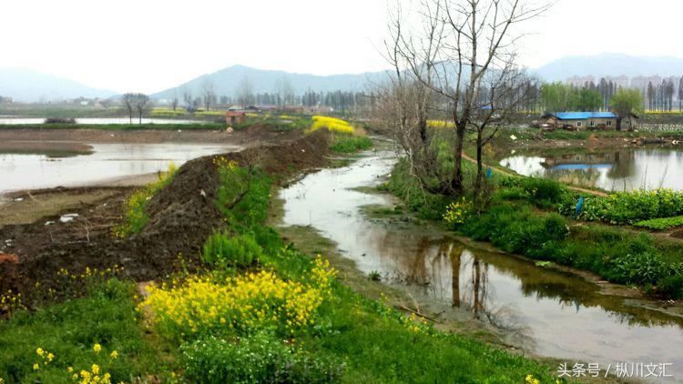 鏋炲窛灞辨按,鏋炲窛