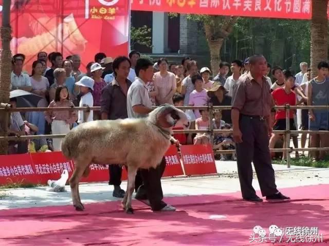 这个徐州人背着相机走遍全城13年他的镜头里一定留下你的记忆