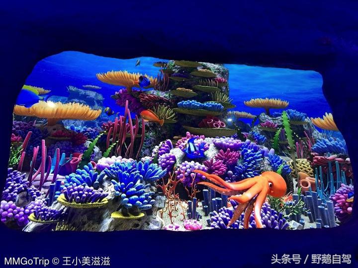 北京奇幻乐园乐多港最佳路线,京郊乐多港奇幻乐园