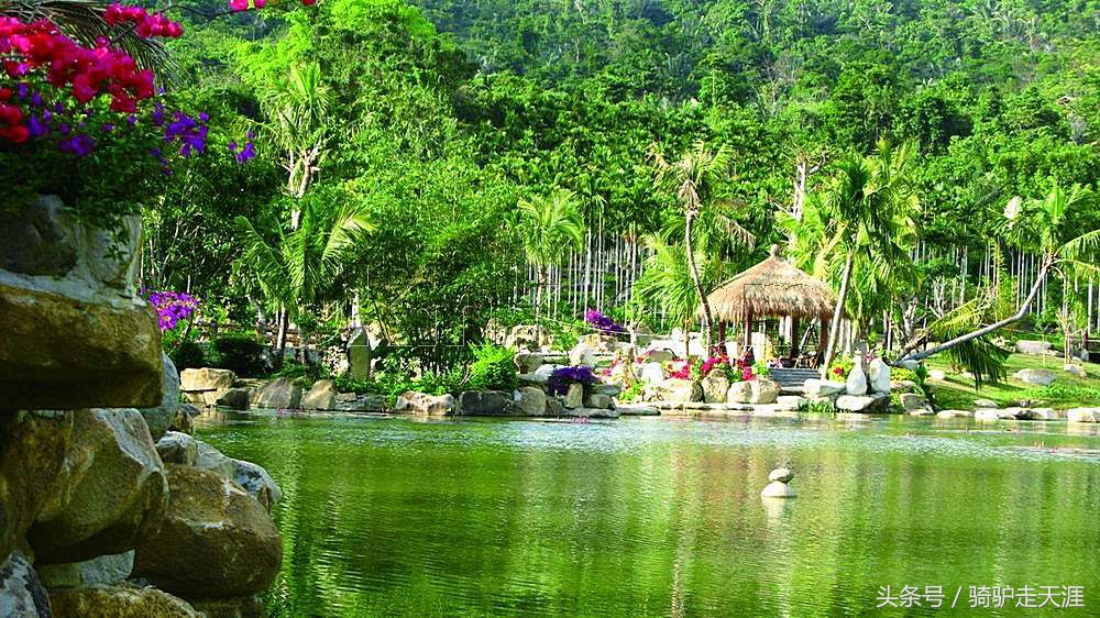 骑驴走天涯完整版,骑驴上三亚